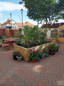 Pristine garden with raised beds and planters.